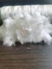 Staple UHMWPE fiber for cement enchancement